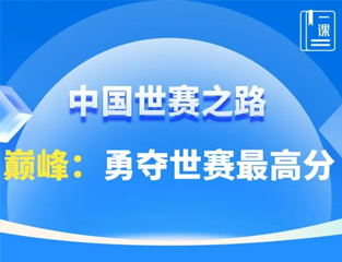 中国世赛之路｜巅峰：勇夺世赛最高分