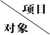 项目/对象