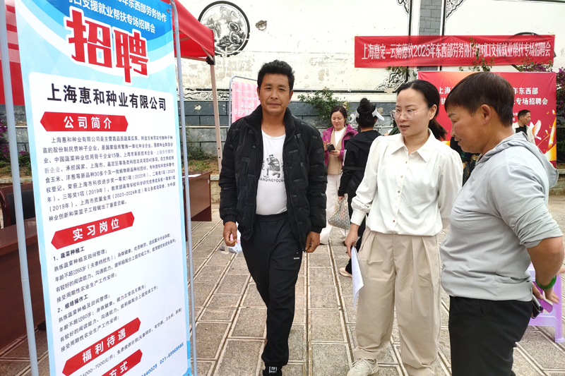 上海嘉定—云南德钦2025年东西部劳务协作和对口支援就业帮扶专项活动圆满举行