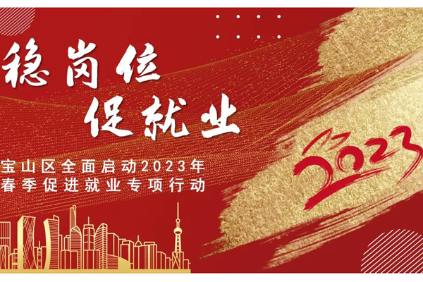 宝山区全面启动2023年春季促进就业专项行动
       