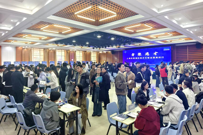 青浦：青春逐梦就业路，人社护航启新程
