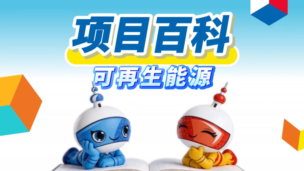 秒懂世赛 | 可再生能源：让清洁能源稳定运转！他们用“技”发电