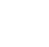 政策指南